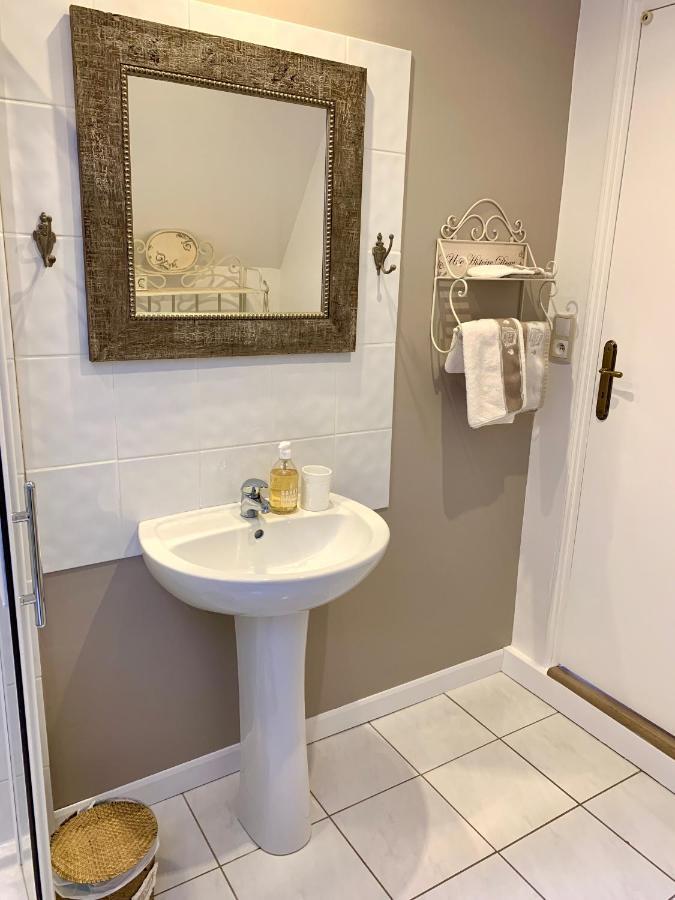 L'Ange Est Reveur Bed & Breakfast Langeais Dış mekan fotoğraf