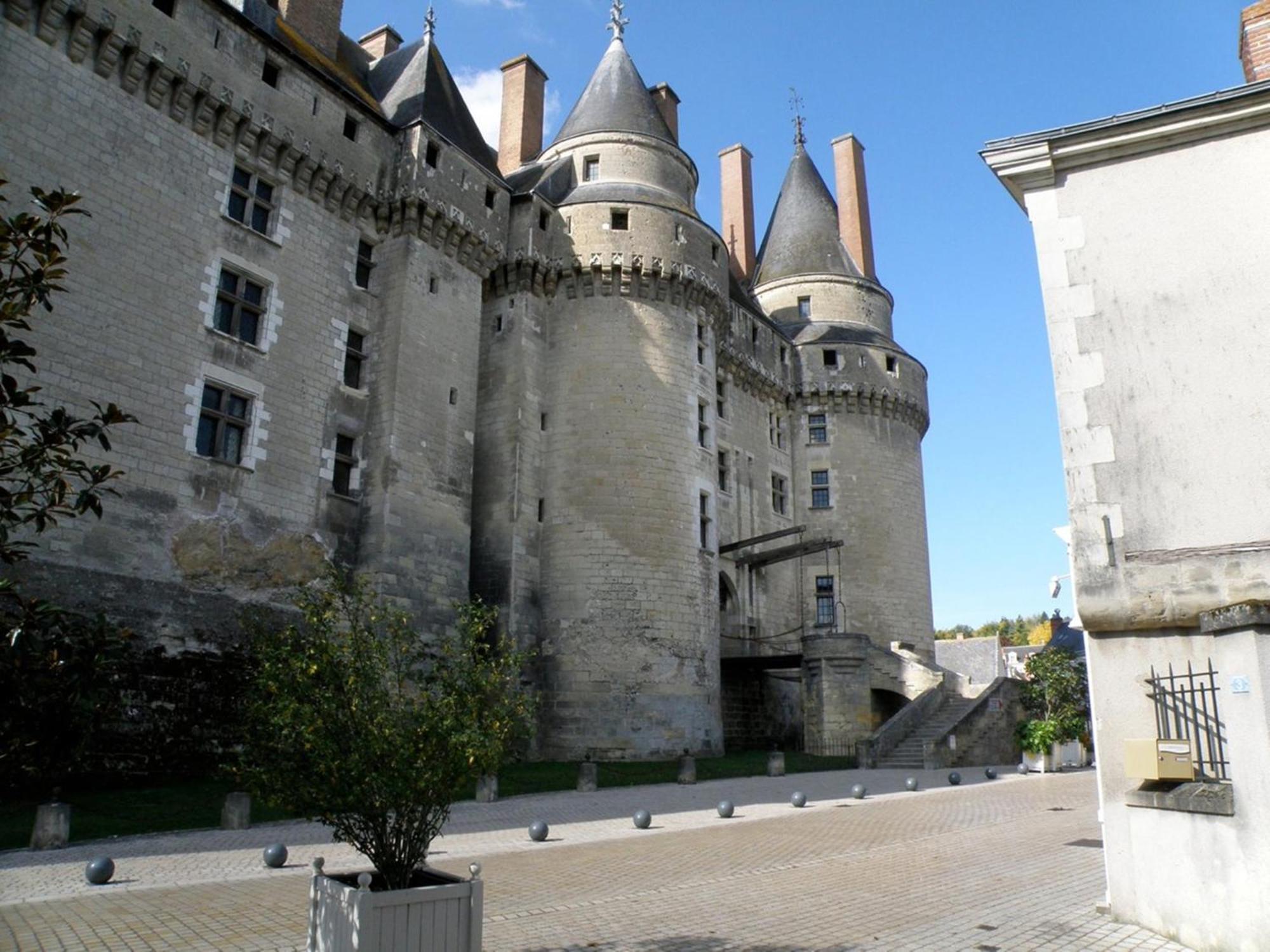 L'Ange Est Reveur Bed & Breakfast Langeais Dış mekan fotoğraf